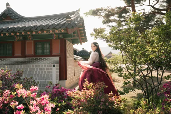 Hanbok Palace — hanbok photography in Seoul's royal palaces
